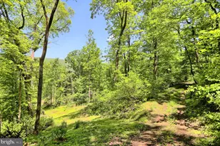 4909 Raccoon Valley Rd Rd, Millerstown, PA 17062 - Photo 56