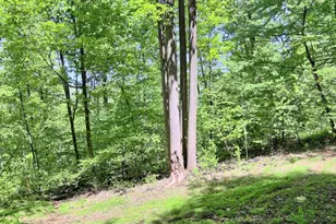 4909 Raccoon Valley Rd Rd, Millerstown, PA 17062 - Photo 64