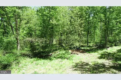 4909 Raccoon Valley Rd Road, Millerstown, PA 17062 - Photo 78