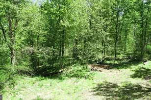 4909 Raccoon Valley Rd Rd, Millerstown, PA 17062 - Photo 78