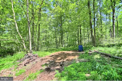 4909 Raccoon Valley Rd Road, Millerstown, PA 17062 - Photo 76