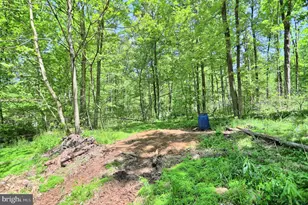 4909 Raccoon Valley Rd Rd, Millerstown, PA 17062 - Photo 76