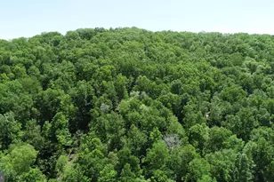 4909 Raccoon Valley Rd Rd, Millerstown, PA 17062 - Photo 90