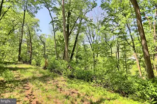 4909 Raccoon Valley Rd Rd, Millerstown, PA 17062 - Photo 58