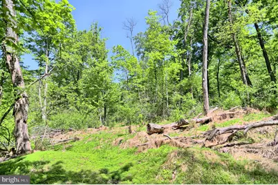 4909 Raccoon Valley Rd Road, Millerstown, PA 17062 - Photo 74