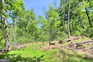 4909 Raccoon Valley Rd Rd, Millerstown, PA 17062 - Photo 74