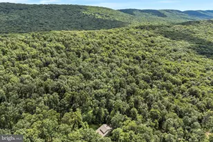 160 Millers Gap Rd, Marysville, PA 17053 - Photo 44
