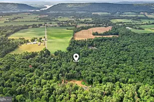 450 Mountain Rd, Liverpool, PA 17045 - Photo 46
