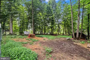450 Mountain Rd, Liverpool, PA 17045 - Photo 36