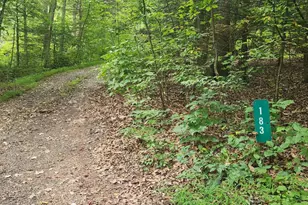 Lot 1 Juniata Furnace Ln, Newport, PA 17074 - Photo 1