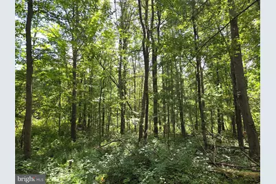 410 Buckwheat Valley Road, Millerstown, PA 17062 - Photo 52