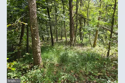 410 Buckwheat Valley Road, Millerstown, PA 17062 - Photo 50