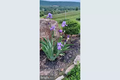 1819 Lower Bailey Road, Newport, PA 17074 - Photo 22