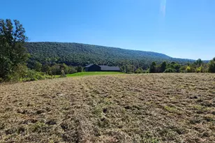 734 Royer Rd, New Bloomfield, PA 17068 - Photo 38