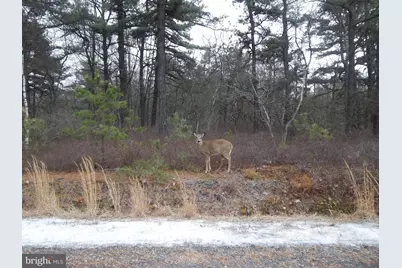 42 Chippewa Drive #LOT 163 WSS, Hazleton, PA 18202 - Photo 6