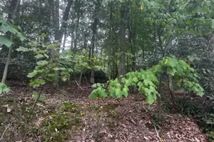 0 N Highland Dr, Pottsville, PA 17901 - Photo 1