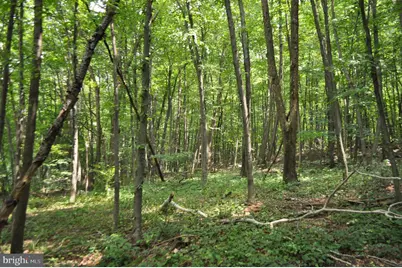 0 Mahantongo Drive, Pottsville, PA 17901 - Photo 6