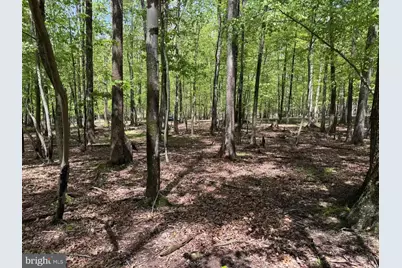 0 W Algonquin Drive, Hazleton, PA 18202 - Photo 1