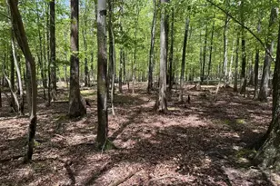 0 W Algonquin Dr, Hazleton, PA 18202 - Photo 1