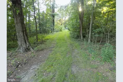 0 Green Street, Tremont, PA 17981 - Photo 12