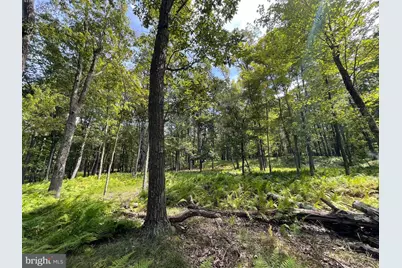 49 Alpine Drive, Zion Grove, PA 17985 - Photo 4