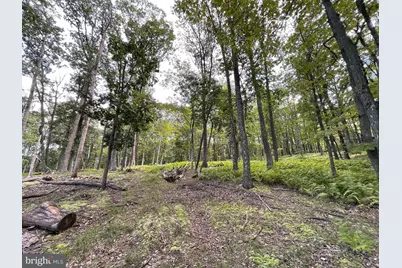 50 Alpine Drive, Zion Grove, PA 17985 - Photo 2