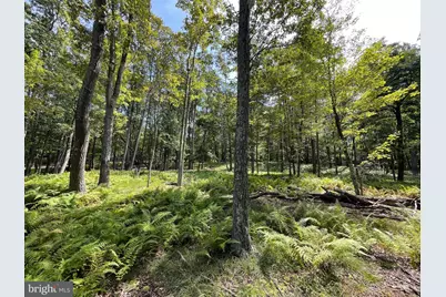 50 Alpine Drive, Zion Grove, PA 17985 - Photo 4