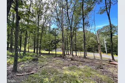 50 Alpine Drive, Zion Grove, PA 17985 - Photo 6