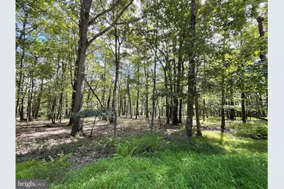 117 Spring Mountain Drive, Zion Grove, PA 17985 - Photo 2