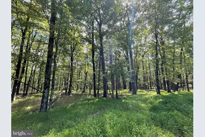 117 Spring Mountain Drive, Zion Grove, PA 17985 - Photo 1