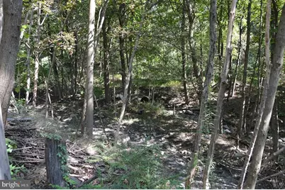 0 S Reading Railroad, Shenandoah, PA 17976 - Photo 1