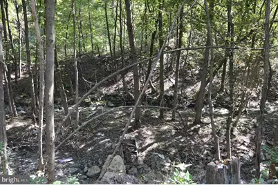 0 S Reading Railroad, Shenandoah, PA 17976 - Photo 2