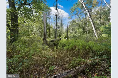 150 S Strawberry Lane, Ringtown, PA 17967 - Photo 12