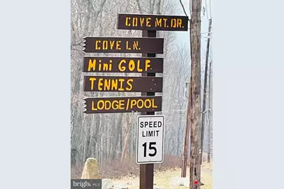 130 Spring Mountain Dr, Zion Grove, PA 17985 - Photo 22