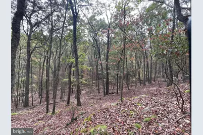 130 Spring Mountain Dr, Zion Grove, PA 17985 - Photo 10