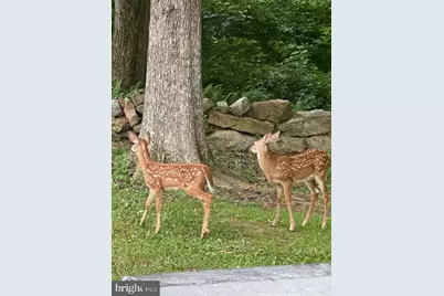 430 Mohave Drive, Auburn, PA 17922 - Photo 36