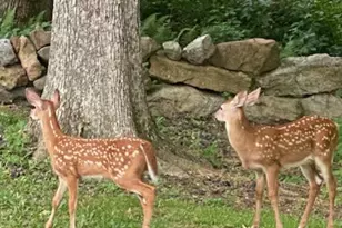 430 Mohave Dr, Auburn, PA 17922 - Photo 36