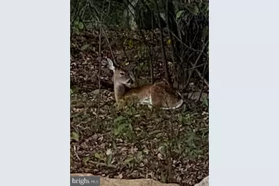 430 Mohave Drive, Auburn, PA 17922 - Photo 38