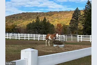 5 Tioga Drive, Hazleton, PA 18202 - Photo 86