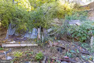 231 Laurel St, Minersville, PA 17954 - Photo 14