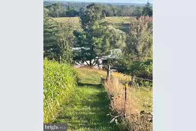 7 N Oak Lane, Schuylkill Haven, PA 17972 - Photo 8