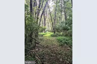 155 W Adamsdale Road, Schuylkill Haven, PA 17972 - Photo 58