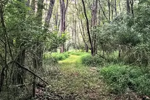 155 W Adamsdale Rd, Schuylkill Haven, PA 17972 - Photo 58