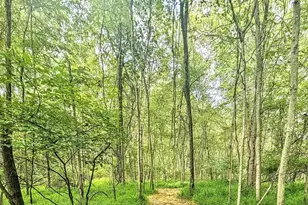 155 W Adamsdale Rd, Schuylkill Haven, PA 17972 - Photo 2