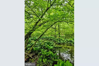 155 W Adamsdale Road, Schuylkill Haven, PA 17972 - Photo 60