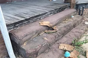 221 Cedar St, Tamaqua, PA 18252 - Photo 4