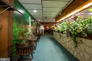 145 Chamberlaine Ave, Pottsville, PA 17901 - Photo 10