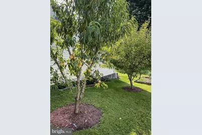 176 Roosevelt Drive, Morea, PA 17948 - Photo 50