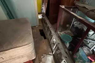 41 W Colliery Ave, Tower City, PA 17980 - Photo 4