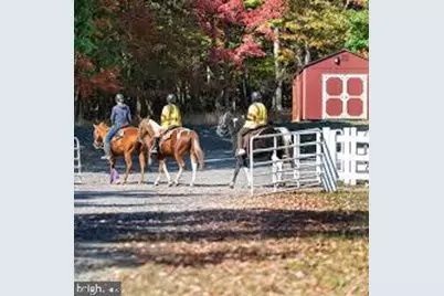 64 Algonquin Drive, North Union Township, PA 18202 - Photo 52